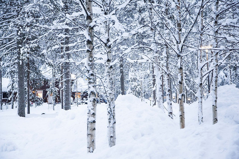 크리스마스 가볼만한 곳 - 눈으로 덮힌 핀란드 산타빌리지 (산타마을) 로바니에미