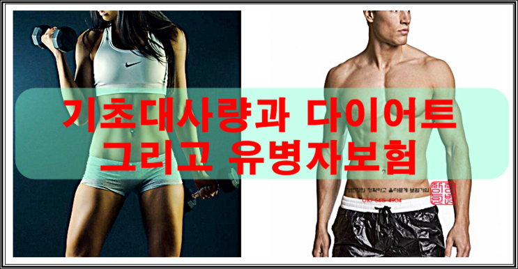 기초대사량과 다이어트 그리고 유병자보험