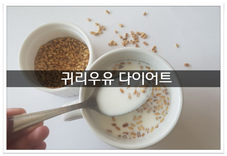 귀리 우유 다이어트