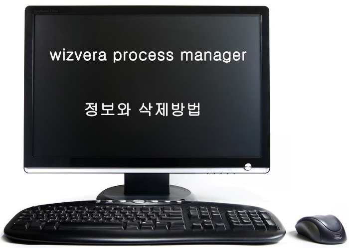 wizvera process manager 정보와 삭제방법