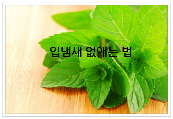 구강질환,입냄새 없애려면?