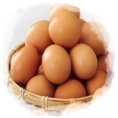 살충제 계란 번호 달걀 생산지 확인법