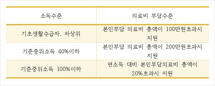재난적의료비 지원사업