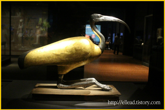 <국립중앙박물관> 세게문화관 이집트 전시실 : 고양이 / 따오기의 관
