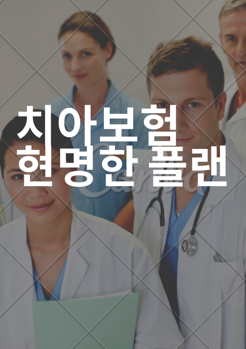 치아보험 플랜별 제안
