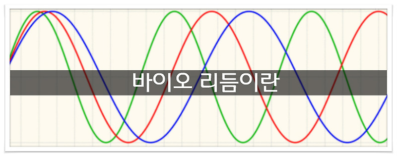 신체 바이오리듬