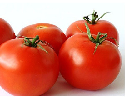 토마토의 효능과 부작용에 대해 알아보자