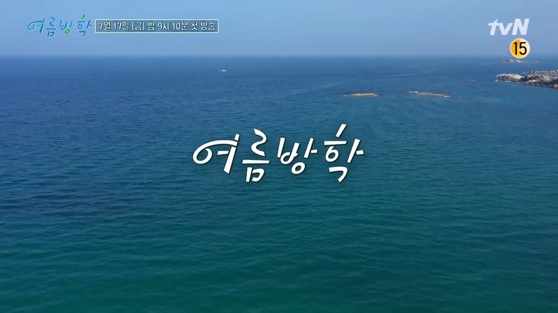 tvN 여름방학 정유미, 최우식, 박서준 홈캉스 리얼리티!