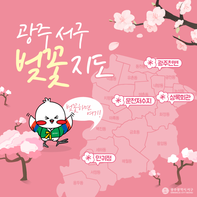 광주 서구청 - 광주서구 벚꽃명소 주말데이트