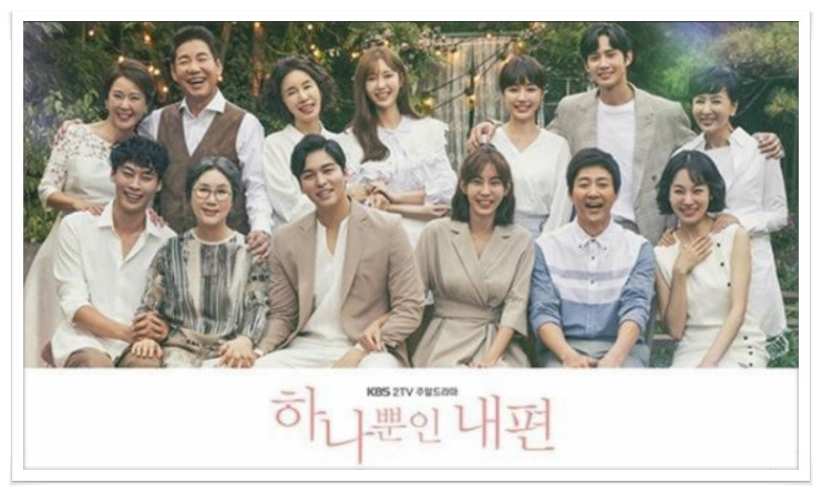 하나뿐인 내편 몇부작