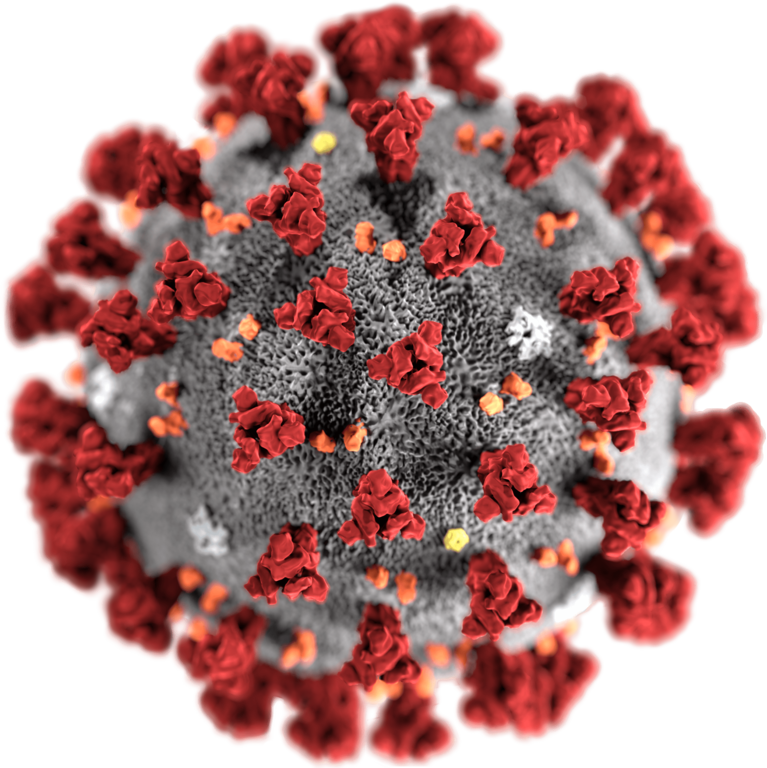 세계보건기구(WHO) 신종코로나 바이러스(COVID-19,코로나 19) 피싱 공격 경고