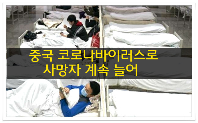 신종코로나 중국 사망자 하루 86명