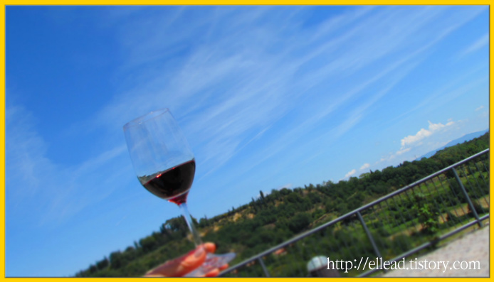<이탈리아 토스카나 와인> 키안티 와이너리 : Salcheto 와인하우스