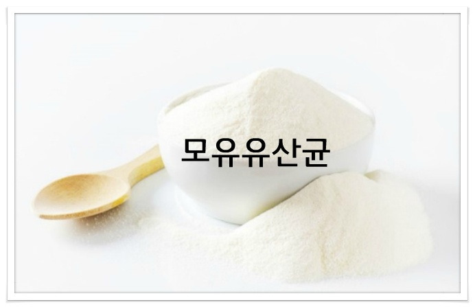 모유유산균, 다이어트