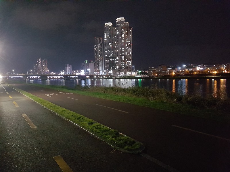 울산 태화강 자전거 도로 야간 모습 태화강 대공원 너구리와 만남