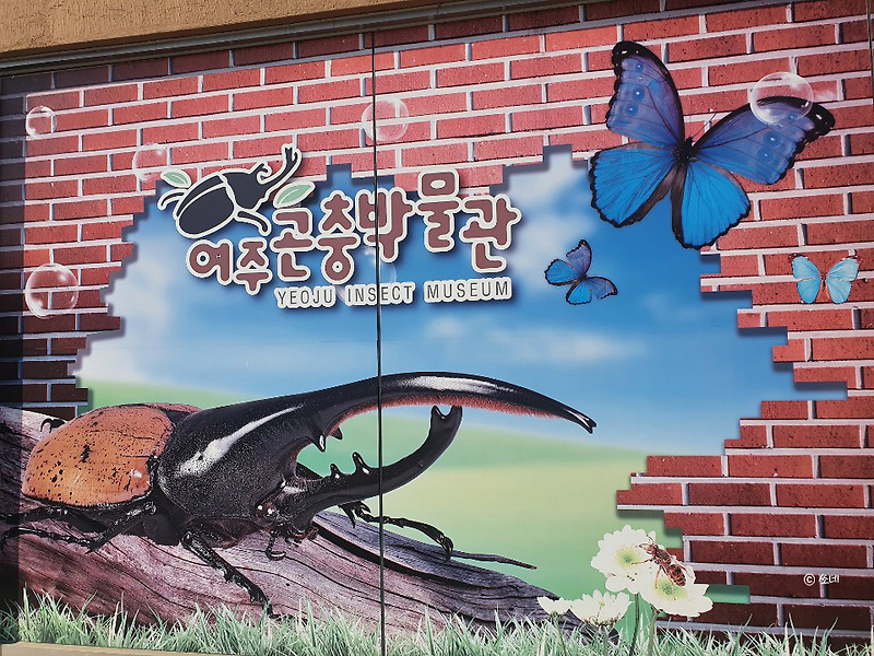 여주[YEOJU] 가볼만한곳 여주곤충박물관