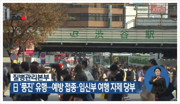 풍진바이러스 일본