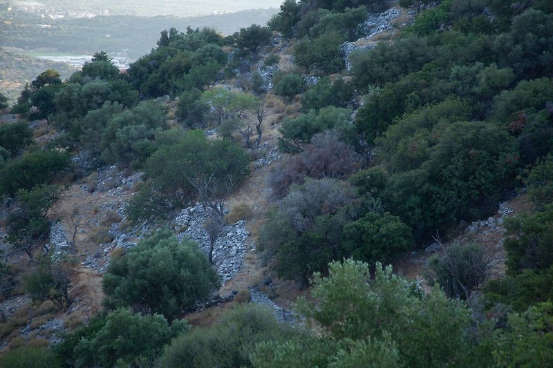 [두번째 그리스 여행]38 크레타 래토 Lato 유적: 아폴로의 어머니 레토의 이름을 딴 마을