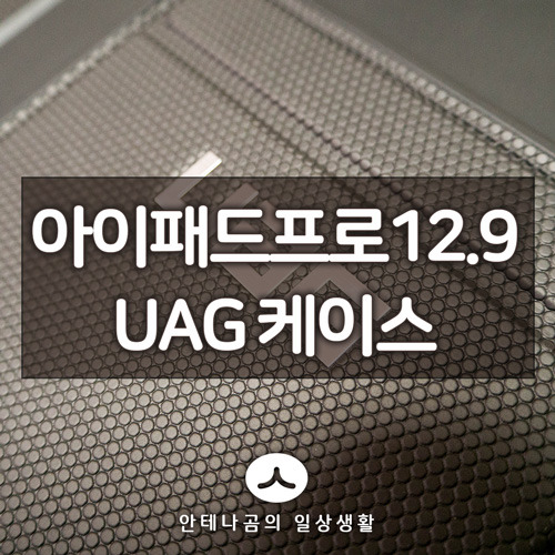 아이패드 프로 12.9 케이스 추천 UAG 러기드 아머쉘 사용기