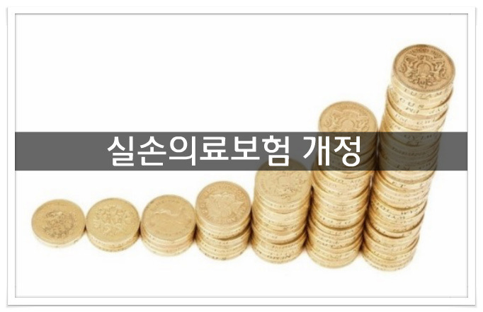 실손의료보험금, 소비자가 손해사정사 선임해 산정한다