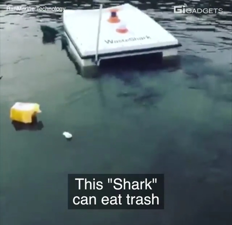 바다위 Shark can eat trash