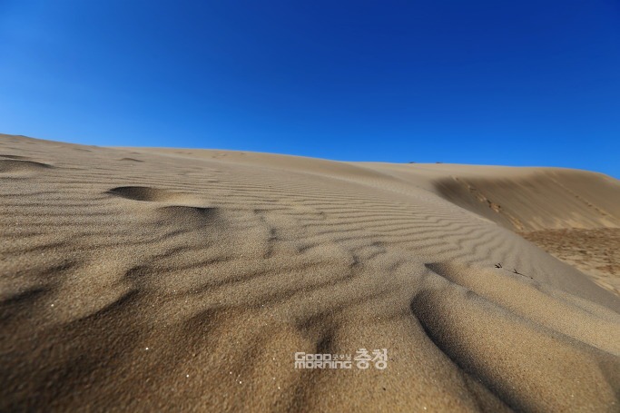 한국의 사막이라 불리는 곳