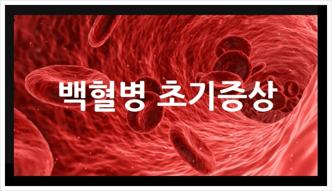 급성 백혈병 초기증상