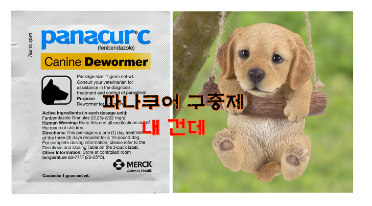 파나쿠어 강아지 구충제 암치료 소문