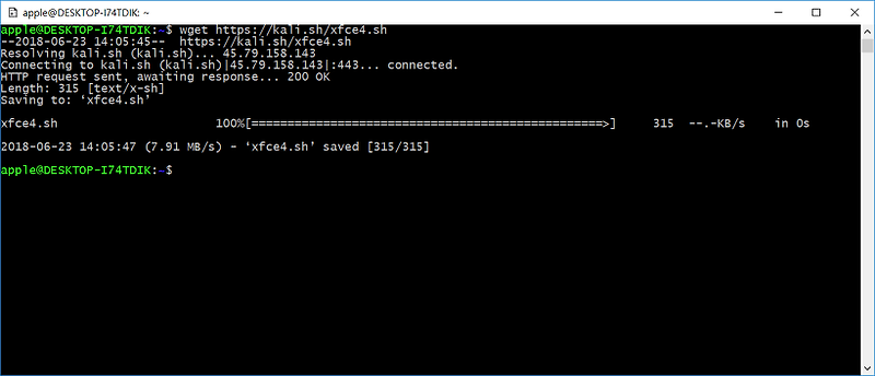 칼리 리눅스(Kali linux) 윈도우10 스토어에서 설치하고 원격 접속하기