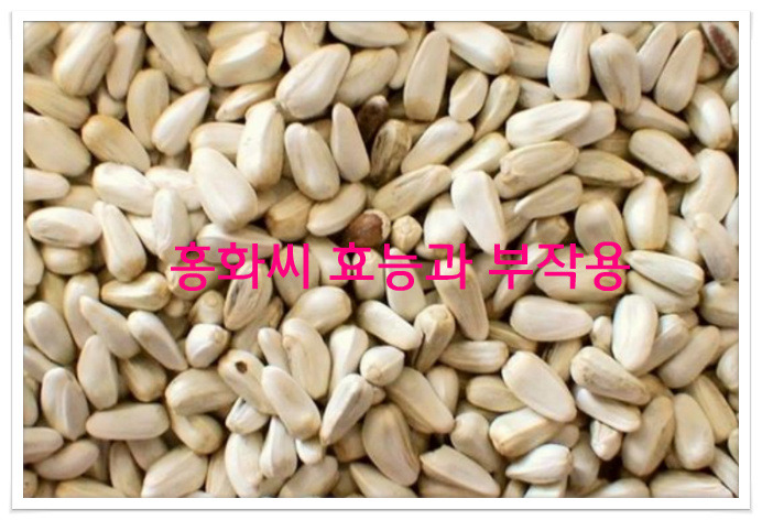 홍화씨 효능 과 부작용
