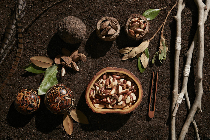 브라질너트(Brazil nut)  놀라운 효능 8가지