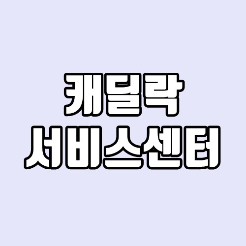캐딜락 서비스센터(공식 AS센터)