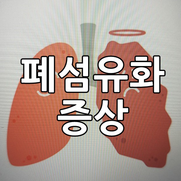 폐섬유화 증상 그리고 위험성