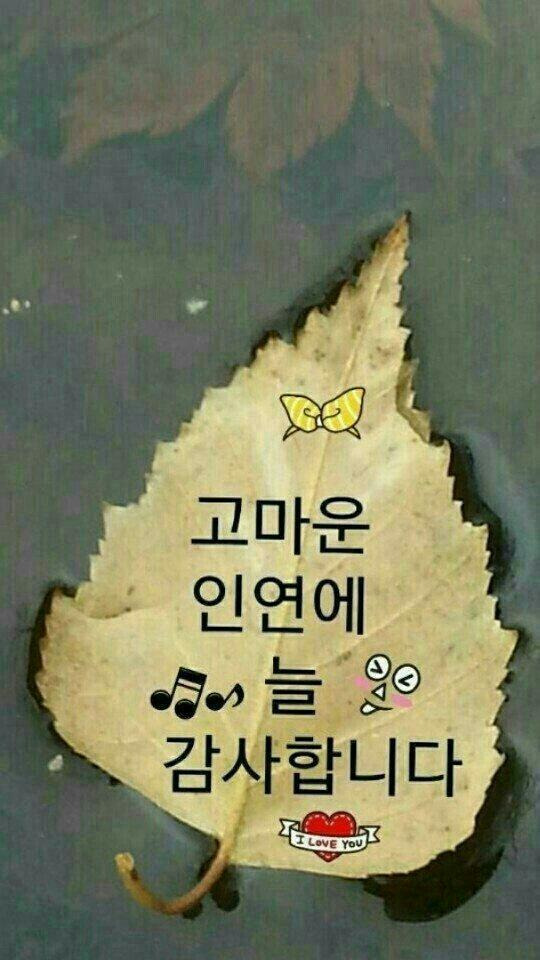 늘 보고싶다