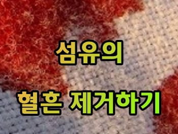 옷에 묻은 핏자국 제거하는 방법
