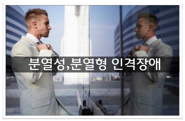 인격장애 (분열성인격장애,분열형인격장애)