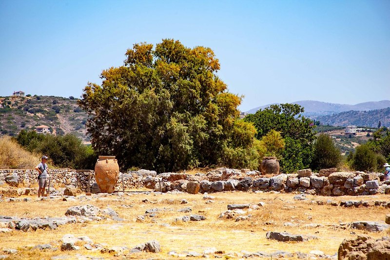 [두번째 그리스 여행] 36 크레타 말리아 Malia: 미노아 문명의 궁전 유적