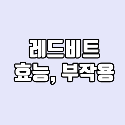 레드비트 효능, 부작용, 먹는법, 가격 - 깔끔하게 정리