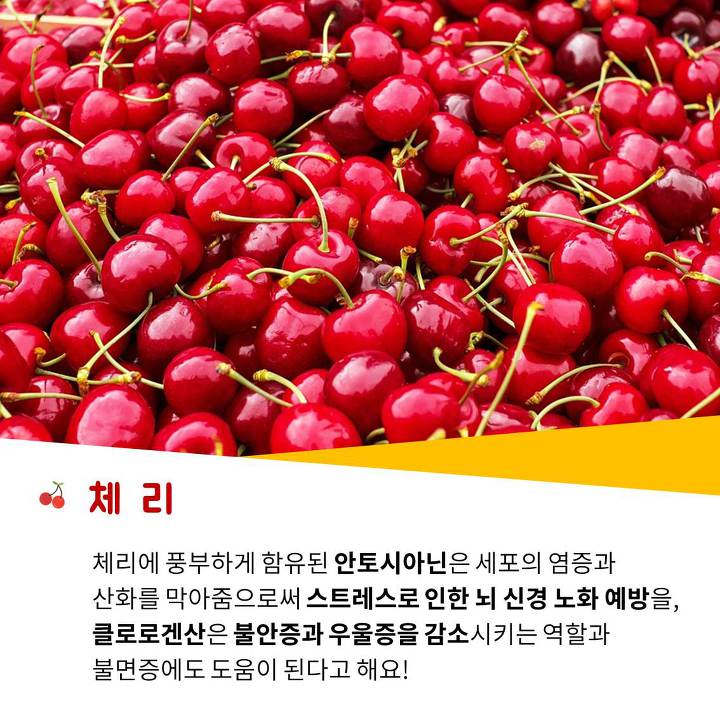 우울감이 개선에 도움되는 음식 알려드려요!