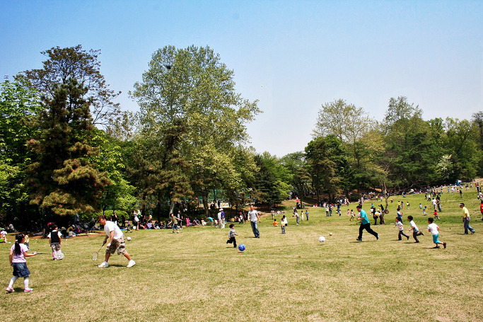 서울나들이, 어린이 날에는 어린이대공원 출사