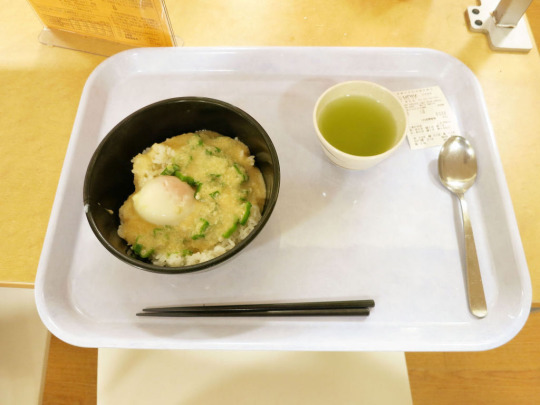 일본의 흔한 학생 식당