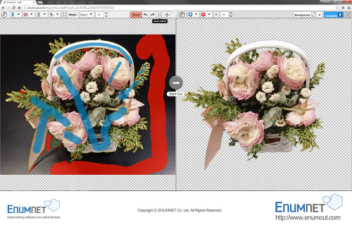 ENUMCUT.COM (이넘컷) - 꽃바구니 사진 누끼 쉽게 따기(복잡한 사진 쉬운 배경제거 누끼 작업)