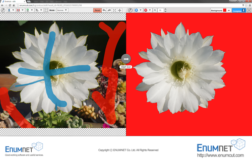 ENUMCUT.COM (이넘컷) - 선인장 꽃 조각상 사진 누끼 쉽게 따기(복잡한 배경사진 쉬운 배경제거 누끼 작업)