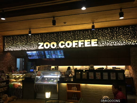 사파리에 온듯한 느낌이 드는 카페 ZOO COFFEE