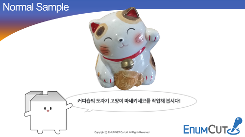 Enumcut.com[Tutorial-92]:Manual(Expert)Mode-cat doll (complex background)-backgrund removal