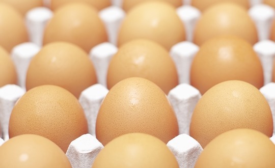 영양식으로 좋은 달걀, 학생들에게도 좋다. 달걀에게 숨겨진 기능은?