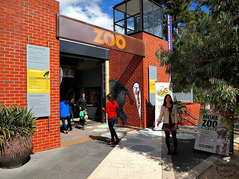 [멜번워홀 D+96] 140405 생일맞이 멜번 동물원 (Melbourne zoo)