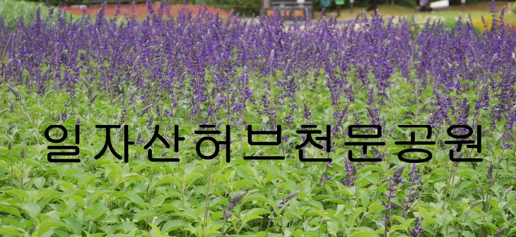 서울가볼만한곳 강동구 일자산허브천문공원1탄