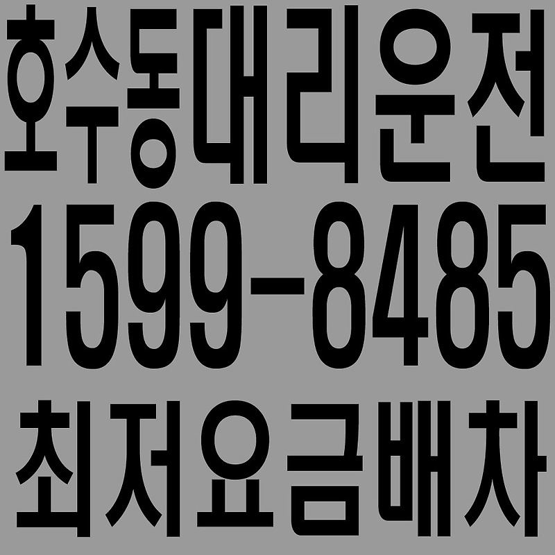 경기도 안산시 단원구 호수동 대리운전 １５９９―８４８５  최저요금배차·친절·안전·신속