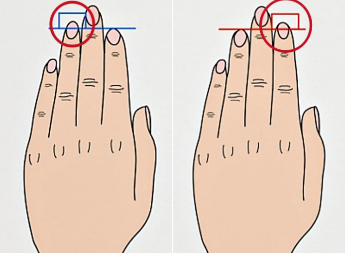 연구로 증명된 '손가락 길이'로 알 수 있는 신비한 능력